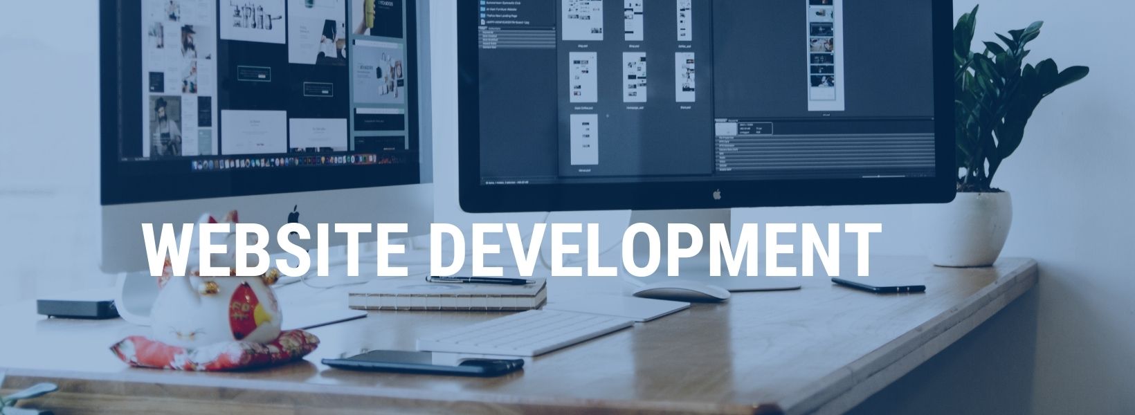 Website Development